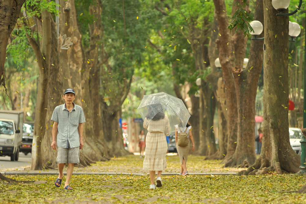 Không thể bỏ qua đặc sản mùa thu Hà Nội