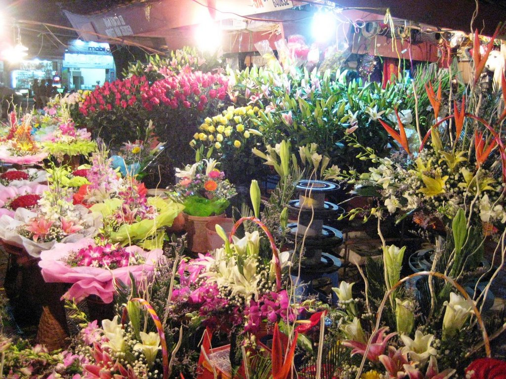 Top 18 Điểm du lịch Hải Phòng tuyệt đẹp không thể bỏ qua 19