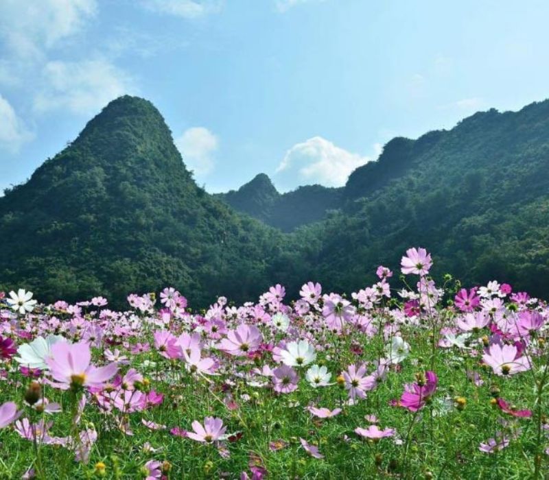 Kinh nghiệm du lịch Lạng Sơn 2026 với 18 địa điểm đẹp nao lòng 18