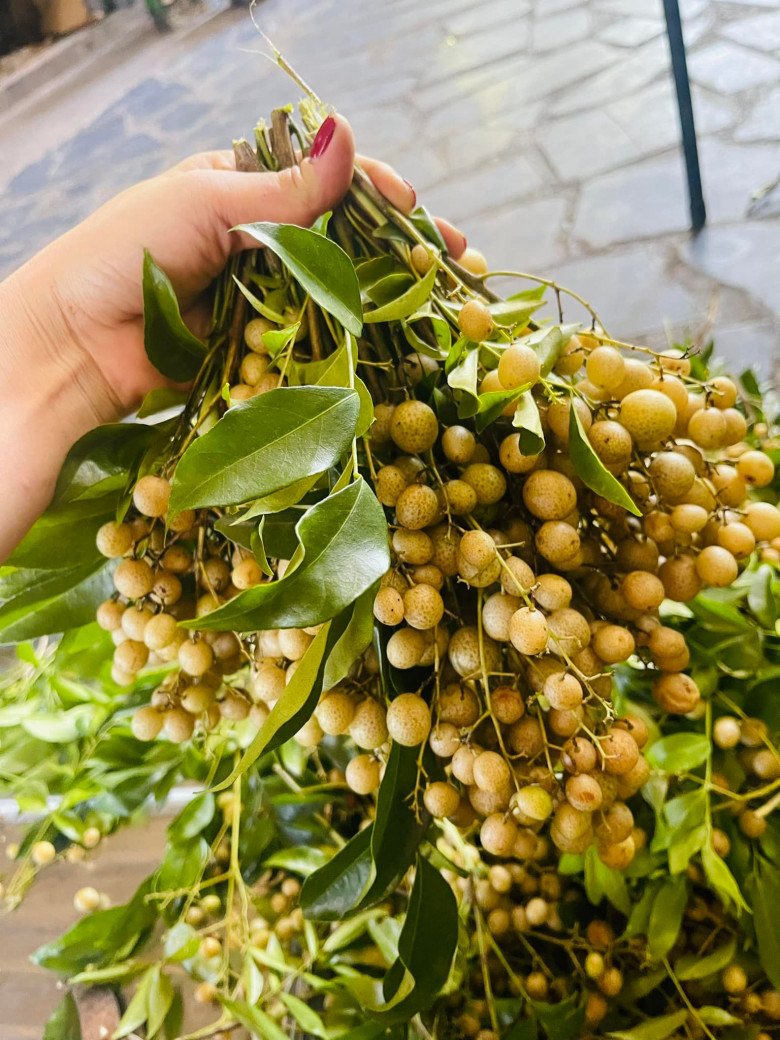 Kinh nghiệm du lịch Lạng Sơn 2026 với 18 địa điểm đẹp nao lòng 27