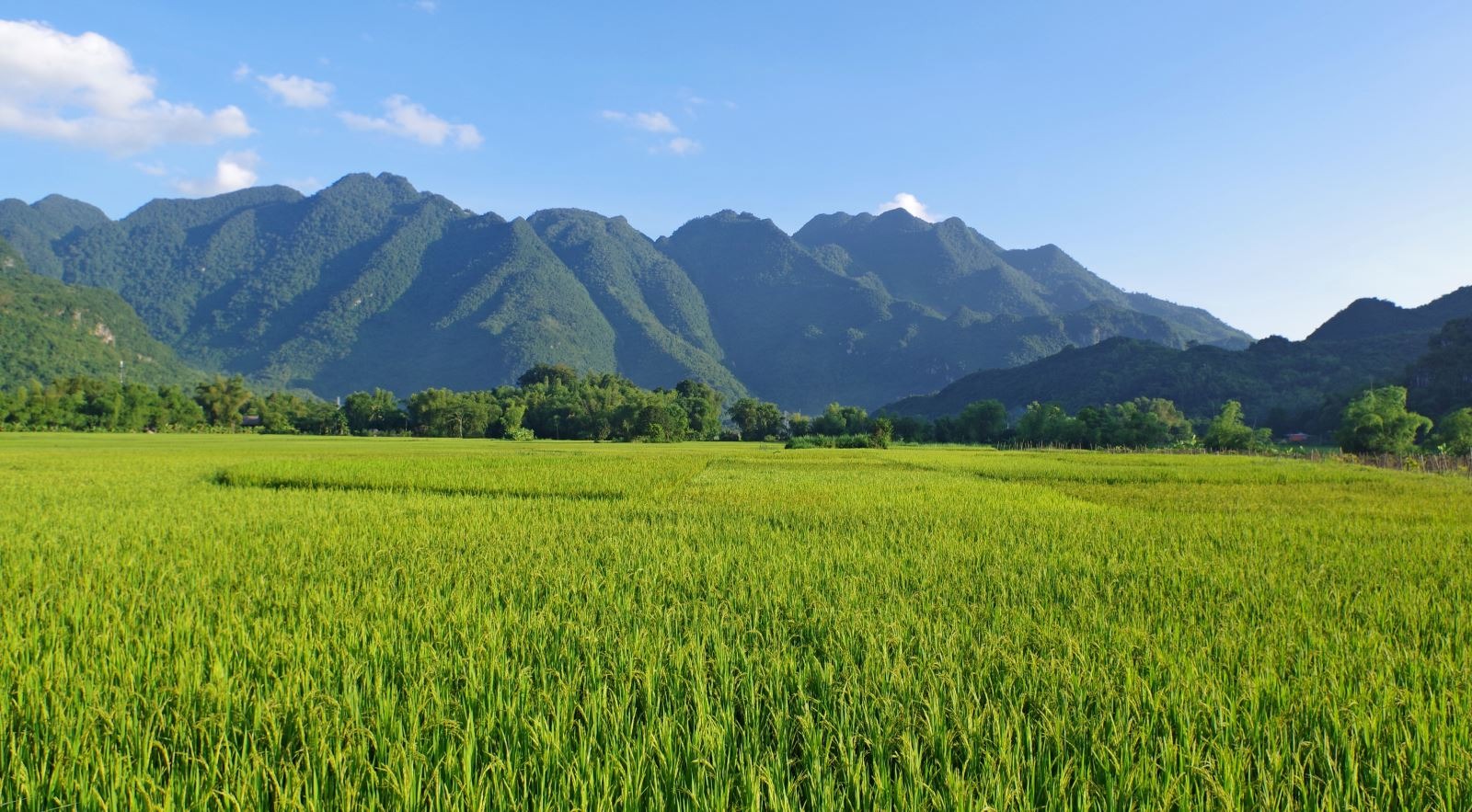 Bản Lác Mai Châu - Viên ngọc quý giữa lòng thung lũng