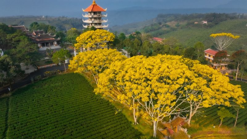 Du lịch Bảo Lộc