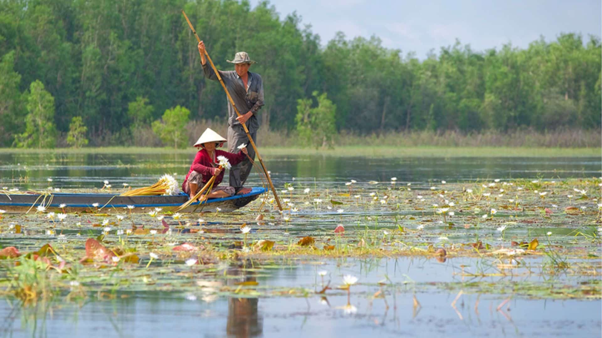 02-khung-canh-yen-binh-cua-nguoi-dan-an-giang-khi-thu-hoach-bong-sung.jpg