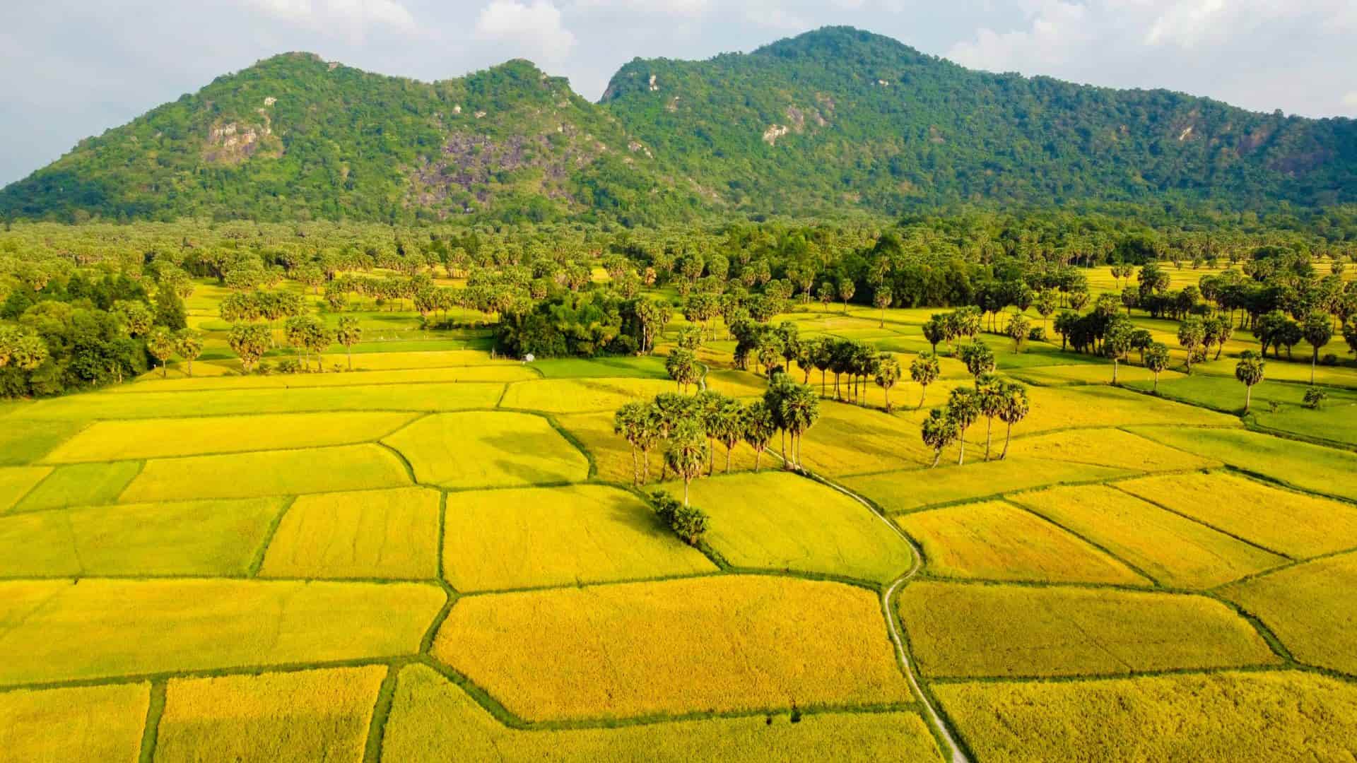 07-du-lich-an-giang-chua-lanh-cung-khung-canh-tru-tinh-cua-canh-dong-ta-pa.jpg