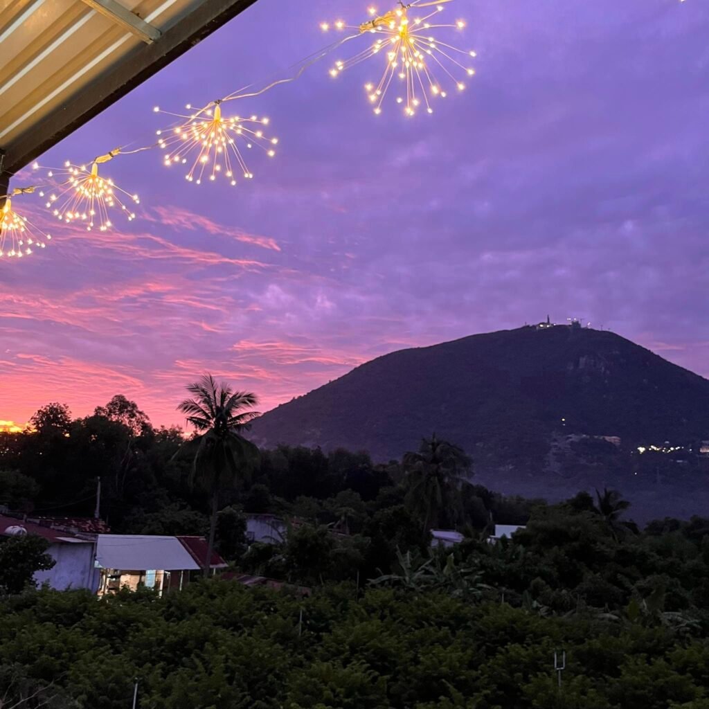 Lily's Homestay Tây Ninh view