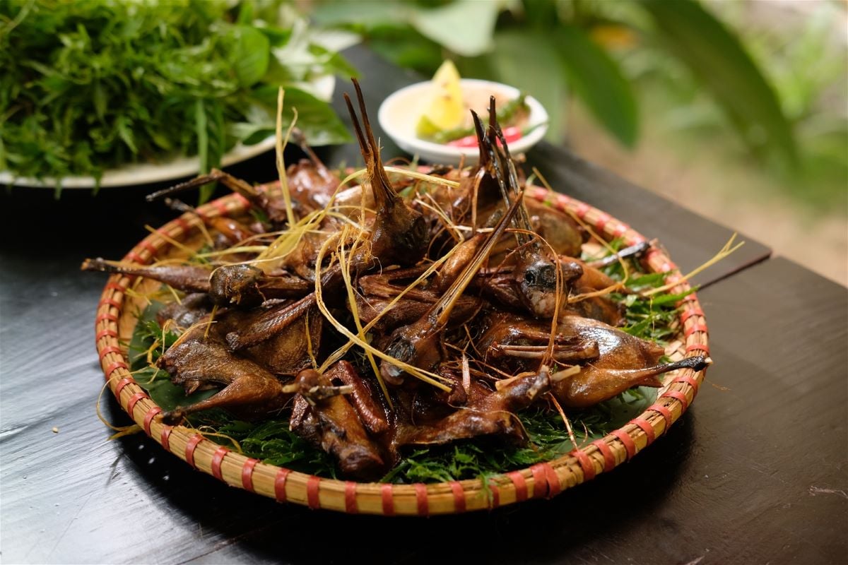 chim trời đặc sản Bắc Ninh